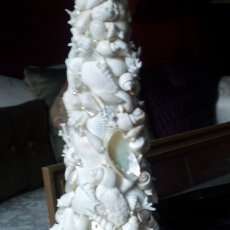 White Seashell Tree