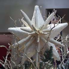 Christmas Tree Topper