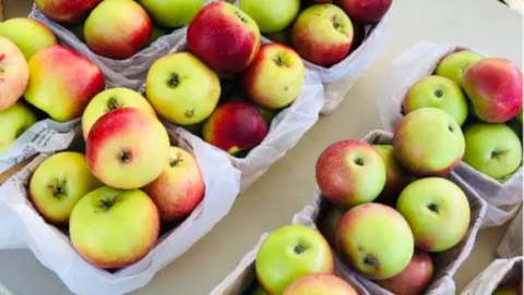 Imlay City Farmers' Market - October