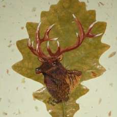 Bull Elk on Natural Leaf