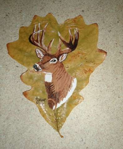 Mule deer Buck on natural leaf