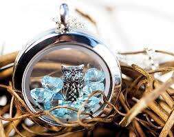 Blue Owl Locket