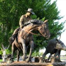 Western Swing in the Spring