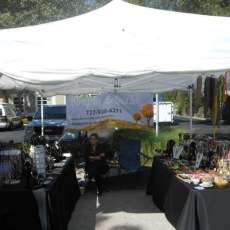 Opening Day At Tarpon Springs Nov 2014