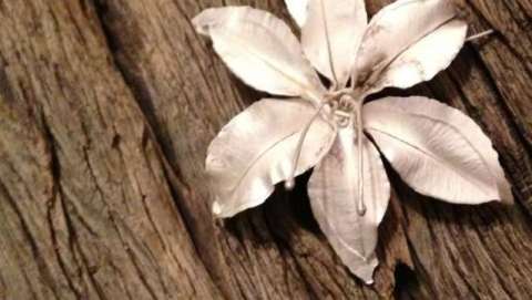 Alli Goren Alli Goren