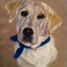 Golden Pastel on Velvet Board