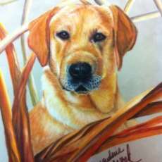 Pastel on Pastel Paper W/ Full Background