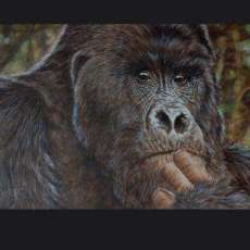 Gorilla painted in acrylics