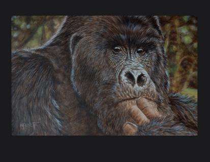 Gorilla painted in acrylics