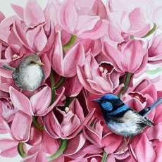Fairy Wren and Orchids