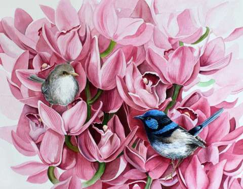 Fairy Wren and Orchids