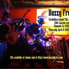 Buzzy Gig