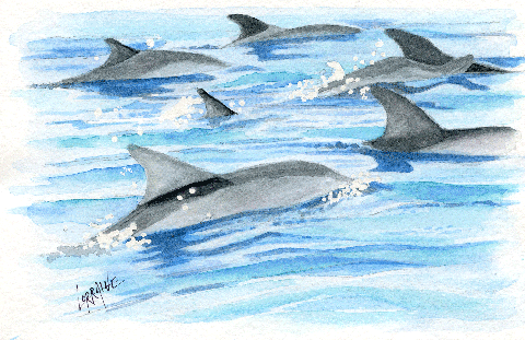Watercolors-Dolphin Pod