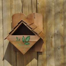 Red Cedar Robin Box