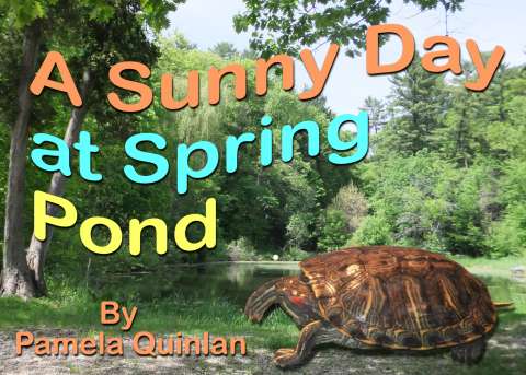 A Sunny Day at Spring Pond