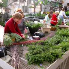Greens Shopping at the Holiday Market