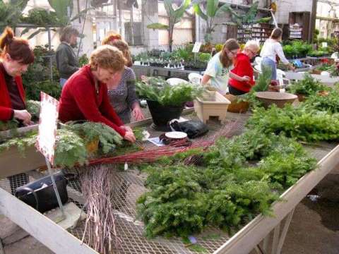 Greens Shopping at the Holiday Market