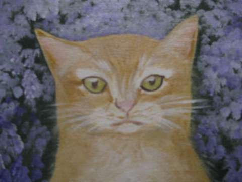 Patty Holland Patty Holland