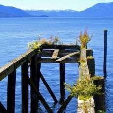 Icy Straights, Alaska  16 x 20 Photo on metal