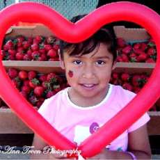 Locally grown, high quality Fresh Fruits & Vegetables, Hanging Plant Baskets/Containers/Annuals/Perennials, Artisans, LIVE Music and more!