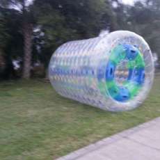 Ground Rollers Are Loads of Fun and Hold 1 to 5 People at a Time!