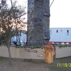 Decorated a little to hide the fencing some.