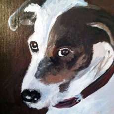 Jack Russell