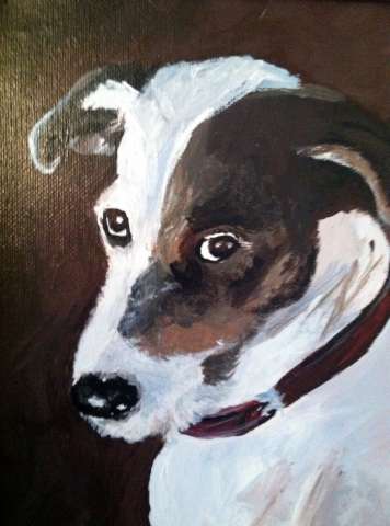 Jack Russell