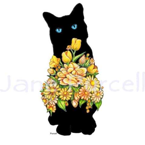 Elegant Black Kitty with Blue Eyes