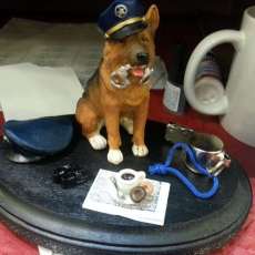 K-9 Police