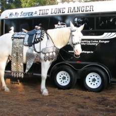 Silver in full Parade saddle and tack for a special event