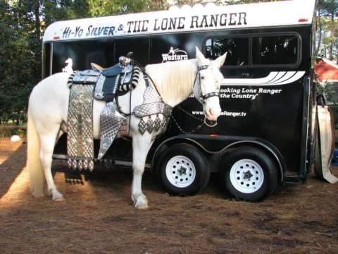 Silver in full Parade saddle and tack for a special event