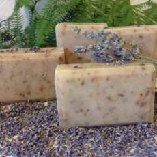 Lavender & Goat's Milk