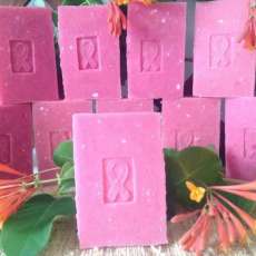 Breast Cancer Awareness ~ Honeysuckle