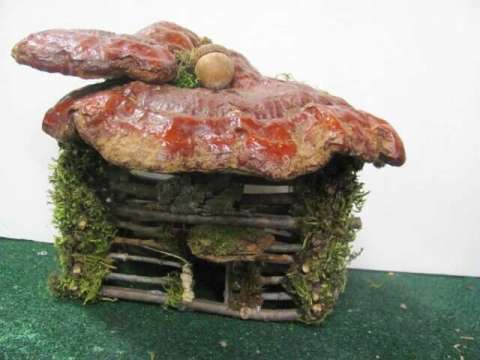 mushroom house