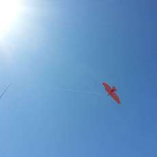 Wind socking a Jackite Cardinal