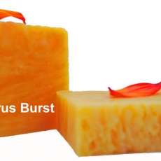 Organic Citrus Burst Handcrafted Soap