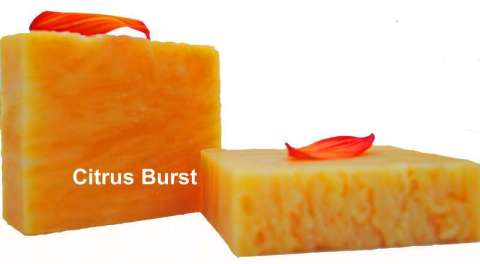 Organic Citrus Burst Handcrafted Soap