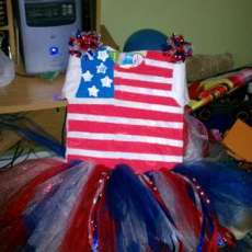 Patriotic Tutu and Hair Bows