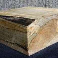 Spalted Maple
