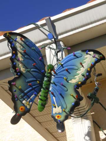Starving Artist Mental  Illuminated Butterfly