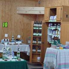 Patty Christopherson