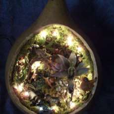 It's a jungle out there