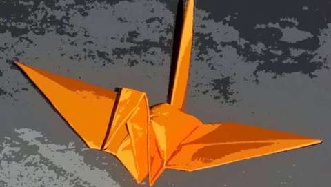 Lisa Salacinski Lisa Salacinski