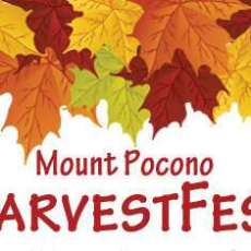 Mount Pocono Association