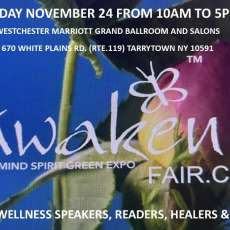 Awaken Fair November 24, 2024