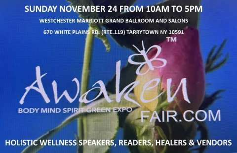 Awaken Fair November 24, 2024