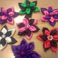 Hair Clips