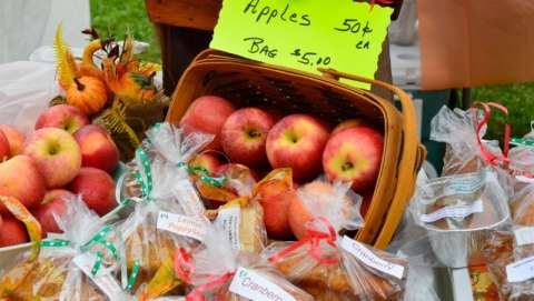 New Cumberland Apple Festival