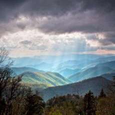 Rob Travis